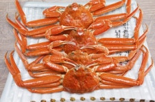 동남호대게 - 강원, 삼척시, 정하동 | 맛집검색 식신