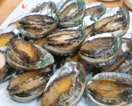 완도전복마을 - 전남, 완도군, 완도읍 | 맛집검색 식신