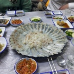 신항만횟집 - 경북, 영덕 | 맛집검색 식신