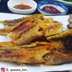 종가집 - 전남, 영광 | 맛집검색 식신