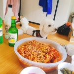 해리수 - 경북, 울진군, 북면 | 맛집검색 식신