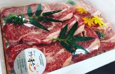전북1호완주한우협동조합고산미소 - 전북, 완주 | 맛집검색 식신