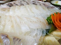 동해횟집 - 강원, 동해 망상 | 맛집검색 식신