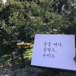 춘심이네 - 제주, 안덕 화순 대평 | 맛집검색 식신