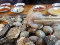마니마니조개구이 - 충남, 보령 | 맛집검색 식신