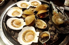 보물섬조개구이 - 경북, 울진 | 맛집검색 식신