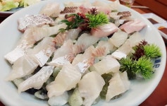 동호일식 - 서울, 성동구, 용답동 | 맛집검색 식신