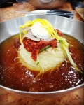 식신 : 대한민국 No.1 맛집
