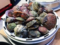 한가네 - 경남, 창원시 진해구, 용원동 | 맛집검색 식신