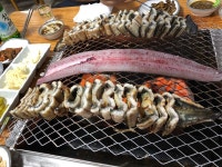 섬진강민물장어 - 서울 강남, 문정 가락 거여 | 맛집검색 식신