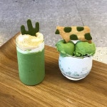 데일리오아시스 더대구 - 대구, 중구 동성로 중앙로 종로 | 맛집검색 식신
