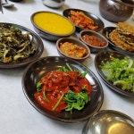 호식이두마리치킨고성점 - 경남, 고성 | 맛집검색 식신