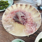 장수횟집 - 경남, 하동군, 금남면 | 맛집검색 식신