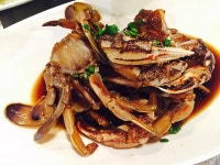 벨라루나 - 충북, 충주시, 지현동 | 맛집검색 식신