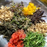 솔밭쉼터식당 - 경남, 합천 | 맛집검색 식신