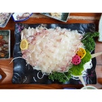 대포동산횟집 - 제주, 서귀포시내 | 맛집검색 식신