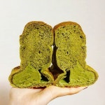 대구반야월막창 초읍점 - 부산, 부산진구, 초읍동 | 맛집검색 식신