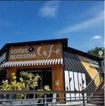 LOTUS BLOSSOM - 충북, 보은군, 속리산면 | 맛집검색 식신