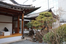 베어 카페 - 서울, 종로구, 효자동 | 맛집검색 식신