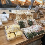 부자떡집 - 충남, 공주시 | 맛집검색 식신 부자떡집  - 충남, 공주시 | 맛집검색 식신