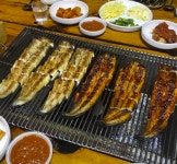 풍천장어 - 서울 강북, 마포 공덕 | 맛집검색 식신