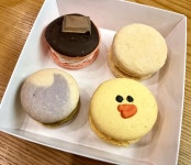 코코의다락 - 광주, 광산구, 장덕동 | 맛집검색 식신