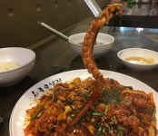 통큰낙지 - 경기, 분당-판교 | 맛집검색 식신