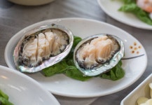 몽대횟집 - 충남, 태안군, 남면 | 맛집검색 식신