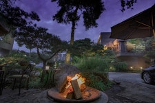 피노 - 경기, 고양시 일산동구, 풍동 | 맛집검색 식신