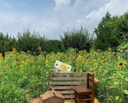 남가식당 - 강원, 춘천시, 동내면 | 맛집검색 식신