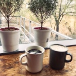 진국곰탕 - 경기, 파주시, 다율동 | 맛집검색 식신