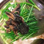 달구와낭구 - 강원, 춘천시 | 맛집검색 식신