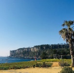 카페루시아 - 제주, 안덕 화순 대평 | 맛집검색 식신