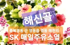 뒷골집 - 충북, 영동 | 맛집검색 식신 뒷골집  - 충북, 영동 | 맛집검색 식신