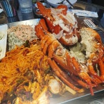 로코쉬 - 서울 강남, 김포공항 방화 마곡지구 | 맛집검색 식신