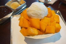 식신 : 대한민국 No.1 맛집