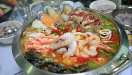 스타트하우스 - 강원, 고성 | 맛집검색 식신
