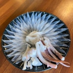 산계원 - 제주, 안덕 화순 대평 | 맛집검색 식신