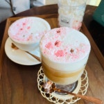 연남동벚꽃집 - 서울, 마포구, 연남동 | 맛집검색 식신