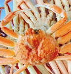 충남식당 - 경북, 영덕 | 맛집검색 식신