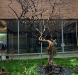 천리향 - 충북, 청주-상당구 중앙 문의 | 맛집검색 식신