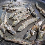 호동맛집가든 - 전남, 보성군, 벌교읍 | 맛집검색 식신