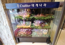콩떡 - 서울 강남, 양재 도곡 | 맛집검색 식신