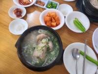 장안삼계탕 - 서울 강북, 시청 | 맛집검색 식신 장안삼계탕  - 서울 강북, 시청 | 맛집검색 식신