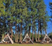 돈내코장원식당 - 제주, 서귀포시, 상효동 | 맛집검색 식신
