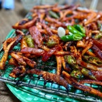 고바우식당 - 경북, 포항 | 맛집검색 식신