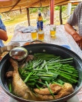 돌담집식당 - 경기, 과천 서울대공원 | 맛집검색 식신