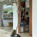 비올레 - 강원, 양양군, 강현면 | 맛집검색 식신