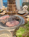 모락식당 - 경기, 남양주시, 와부읍 | 맛집검색 식신