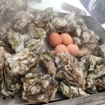 황제낚시민박 - 전북, 군산시, 옥도면 | 맛집검색 식신